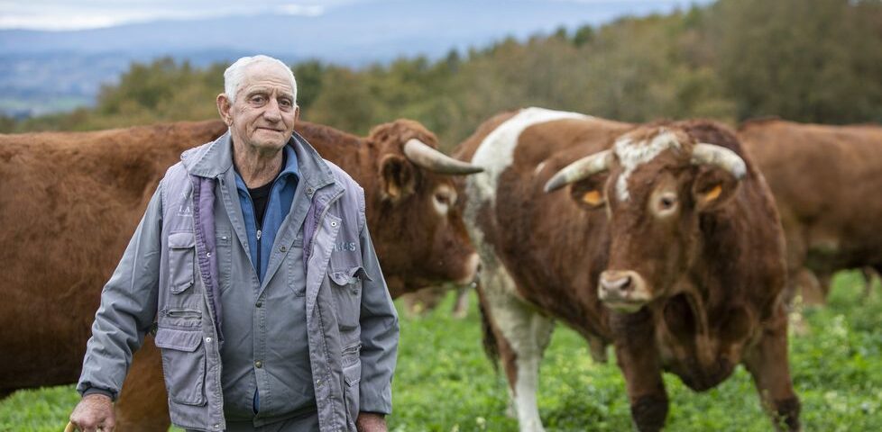 Hombre anciano con D.I. pastoreando el ganado de la Asociación Prodeme